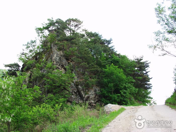 Ttansan Mountain (딴산)