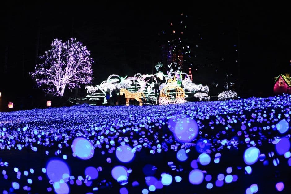 Lighting Festival at The Garden of Morning Calm (아침고요수목원 오색별빛정원전)