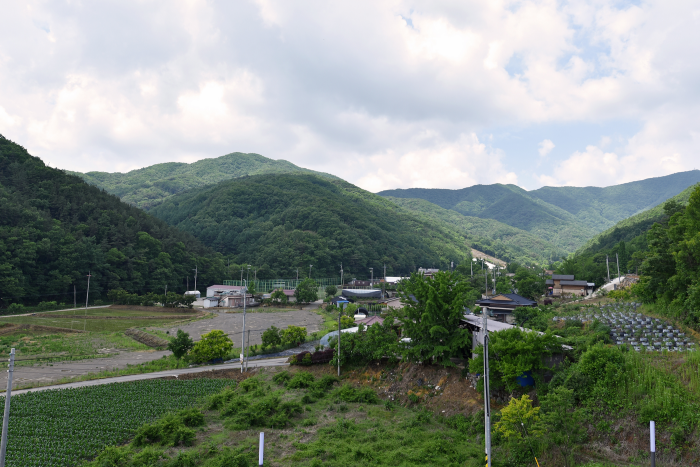 Alps Village (알프스마을)
