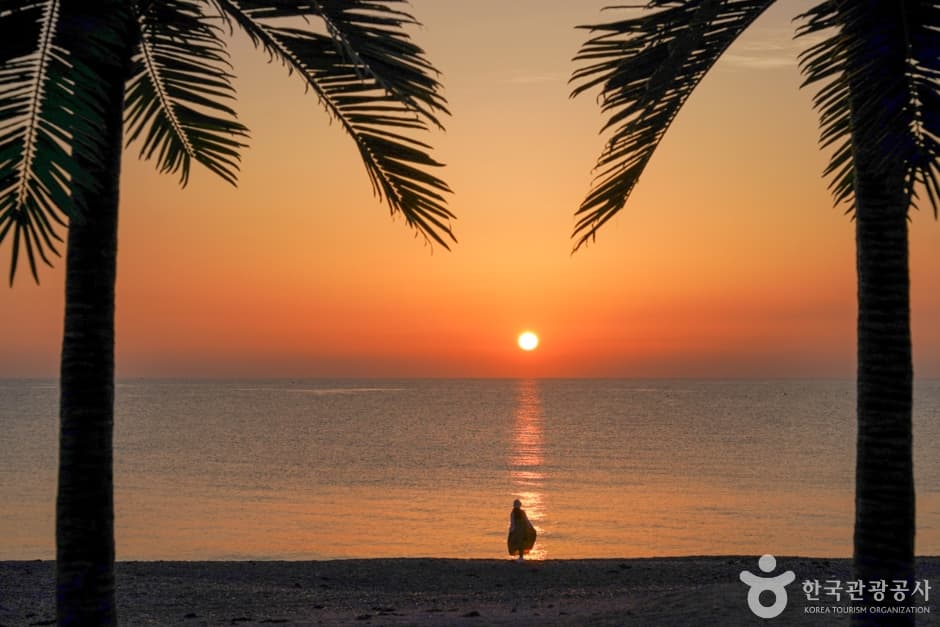 Oryu Goarahaebyeon Beach (오류고아라해변)