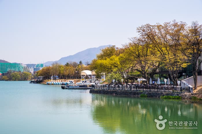 Suseongmot Lake Resort (수성못 유원지)