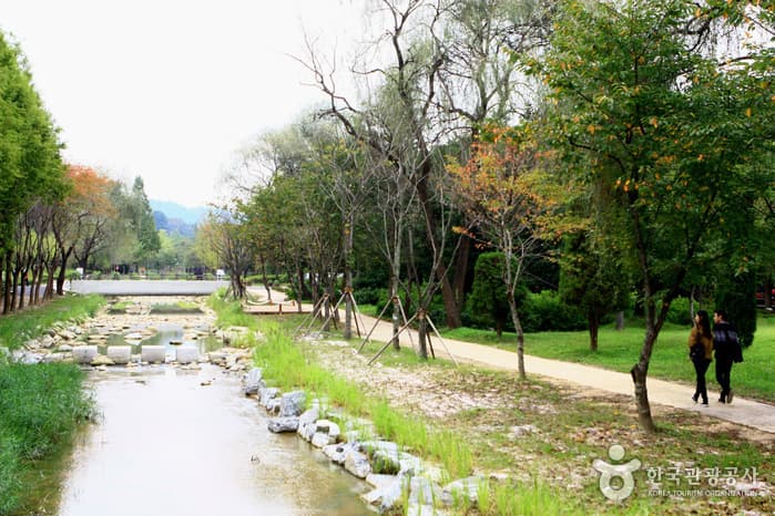 Mulhyanggi Arboretum (물향기수목원)