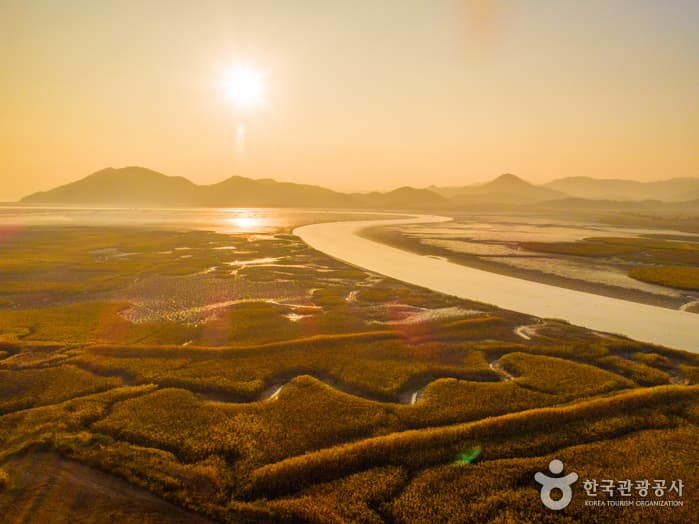 Suncheonman Wetland (순천만습지)