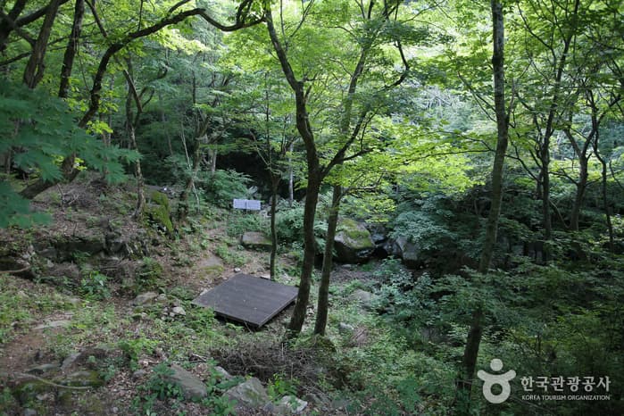 Jirisan Recreational Forest (국립 지리산자연휴양림)