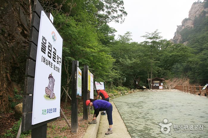 Seoraksan Heullimgol Valley (설악산 흘림골)