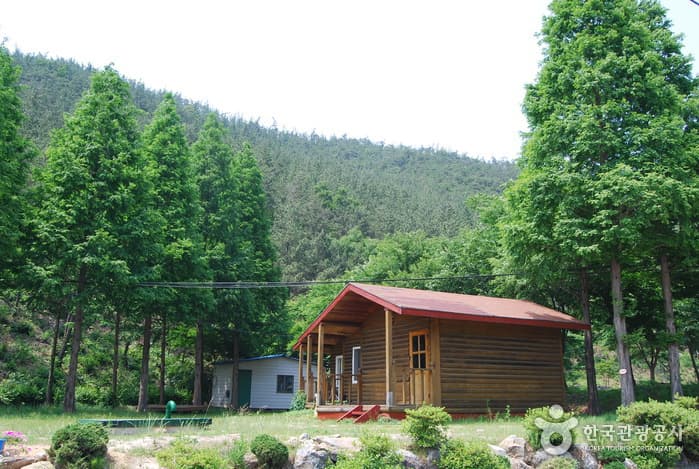 Huirisan Pine Tree Recreational Forest (국립 희리산해송자연휴양림)