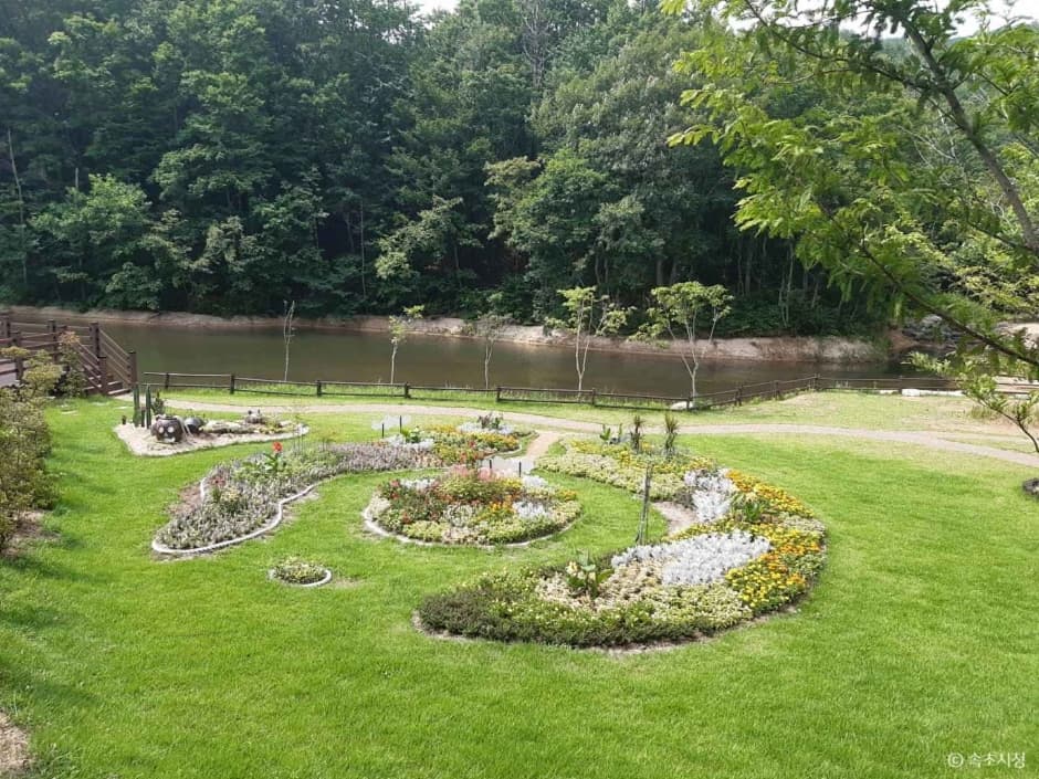 Seoraksan Botanical Garden (설악산 자생식물원)