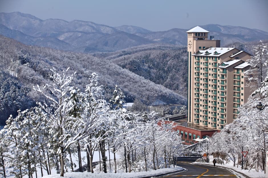 Oak Valley Snow Park (오크밸리 스키장)