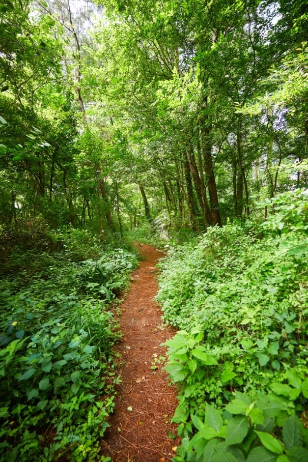 Ara-dong History and Culture Trail (아라동 역사문화탐방로)