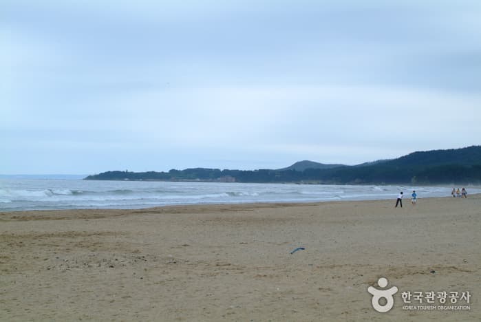 Wolpo Beach (월포해수욕장)