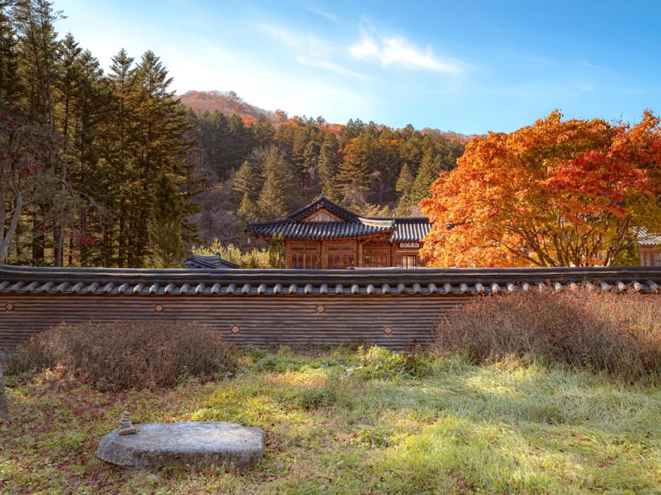 Woljeongsa Temple & Needle Fir Forest (월정사.월정사전나무숲)