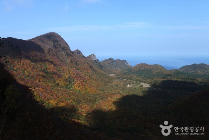 Ulleungdo Island (울릉도)