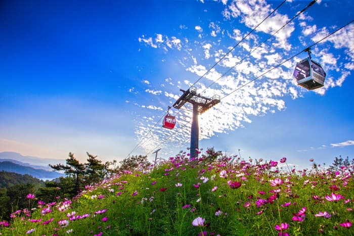Mokpo Marine Cable Car (목포 해상케이블카)