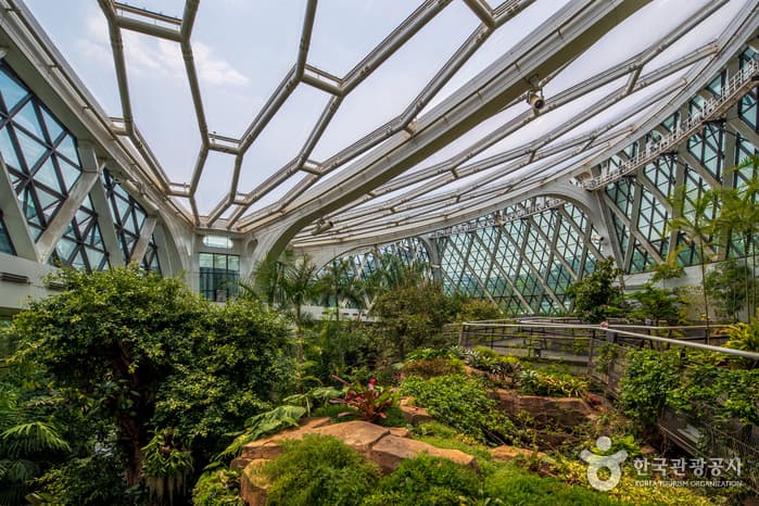 Seoul Botanic Park (서울식물원)