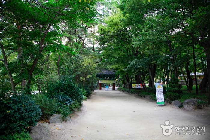 Naeyeonsan Bogyeongsa Municipal Park (내연산보경사시립공원)