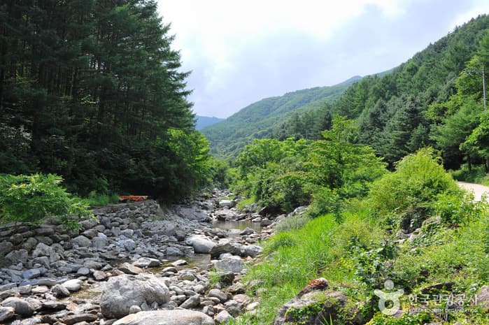 Myeongjisan County Park (명지산 군립공원)