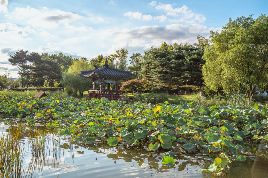 Yurim Park (유림공원)