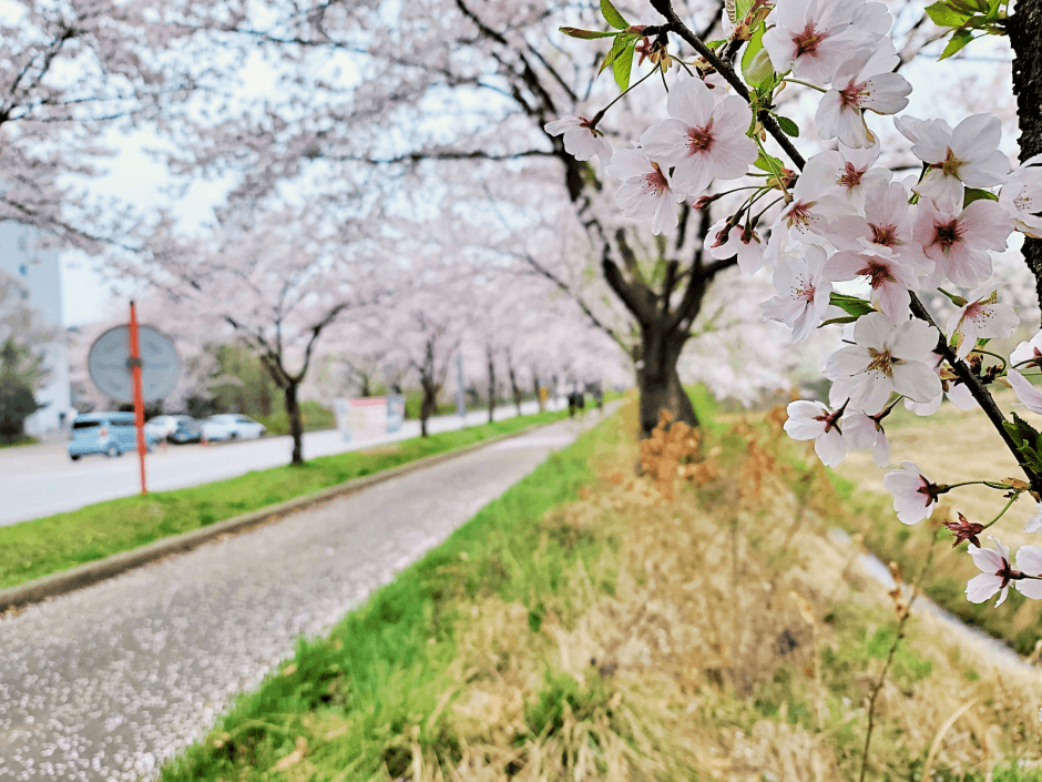 Pyeongtaekho Art Park (평택호예술공원)