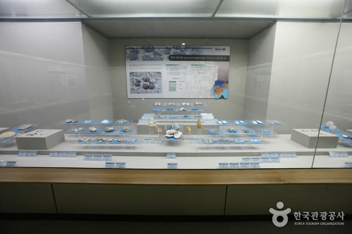 Busan Marine Natural History Museum (부산해양자연사박물관)