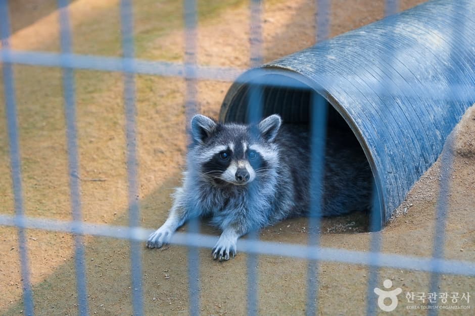 Incheon Grand Park Children's Zoo (인천대공원 어린이동물원)