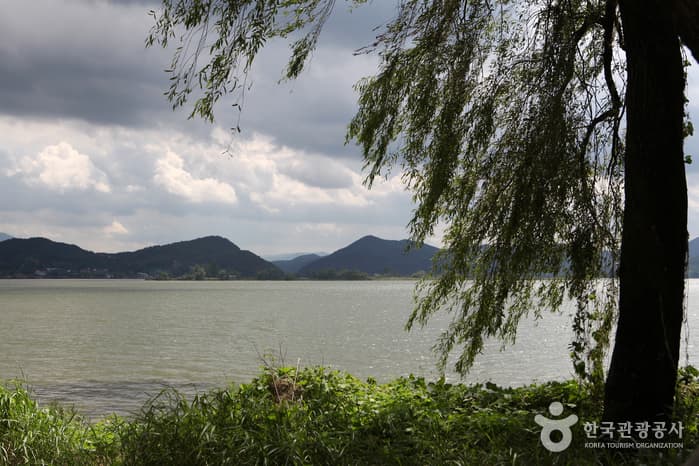 Dasan Ecological Park (다산생태공원)