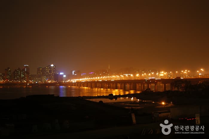 Mapodaegyo Bridge (마포대교 야경)