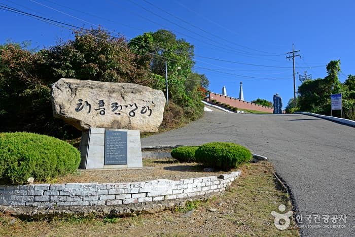 Typhoon Observatory (태풍전망대)