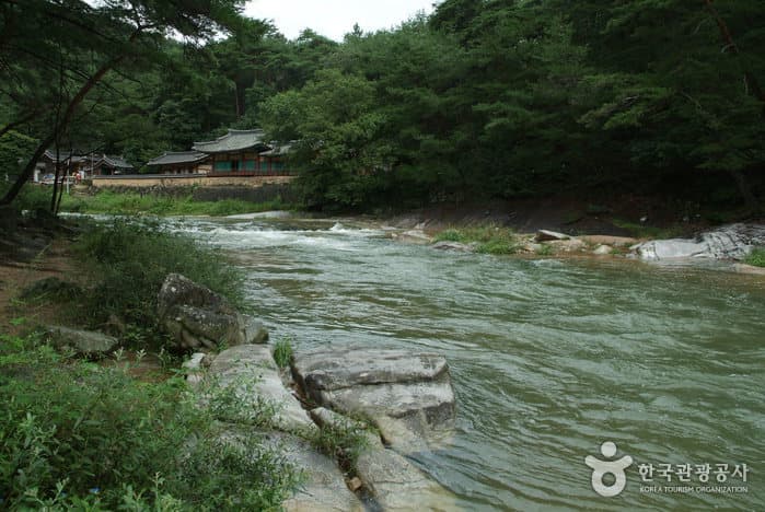 Seokcheongyegok Valley (석천계곡)