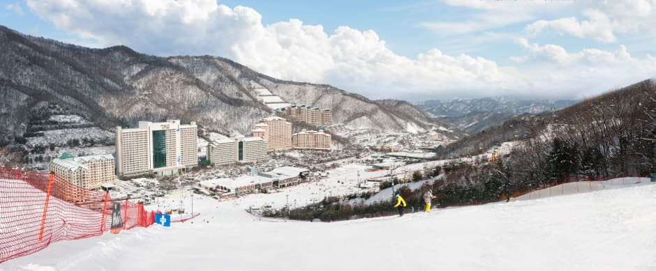 Vivaldi Park Ski World (비발디 파크 스키월드)