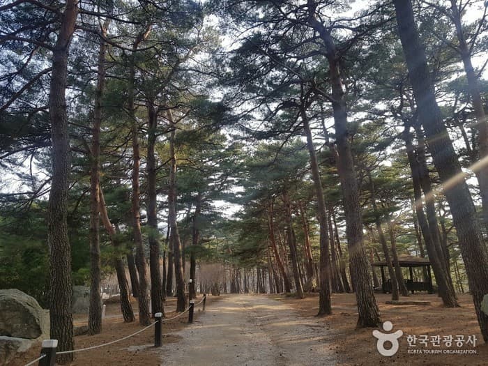 Cheoksan Spatel ( (주)척산온천휴양촌)