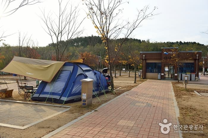 Hagampo Auto Campground (학암포 오토캠핑장)
