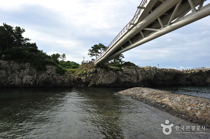 Munseom, Seopseom, Beomseom, and Saeseom Islands (문섬 / 섶섬 / 범섬 / 새섬)