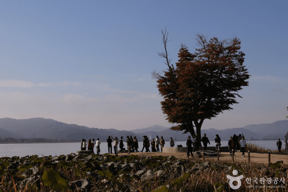 Yangpyeong Dumulmeori (양평 두물머리)