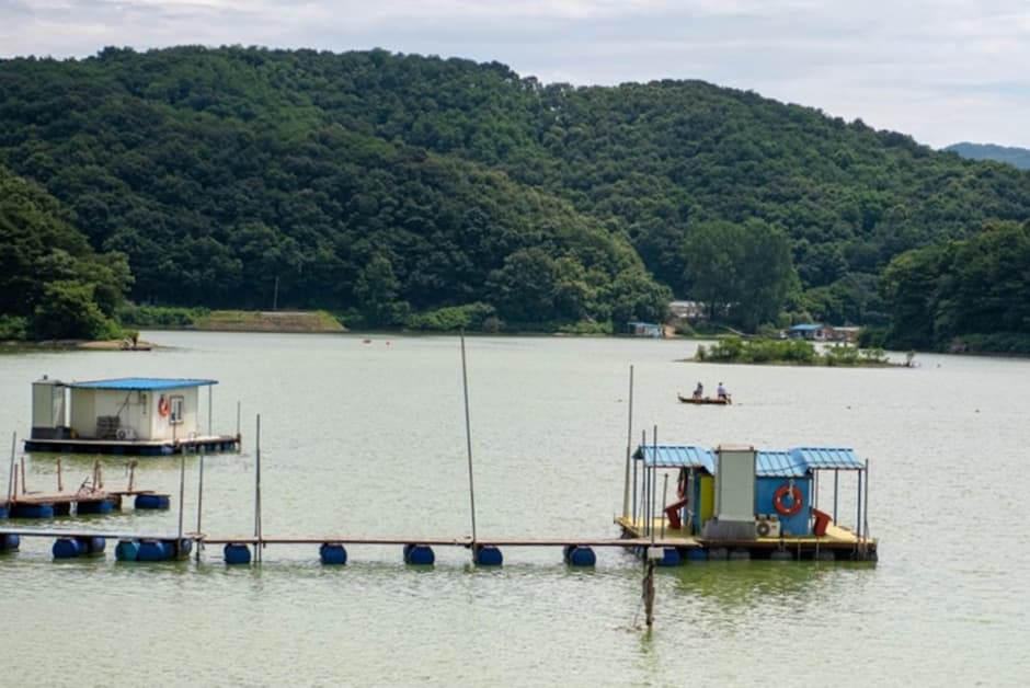 Gosam Reservoir (고삼저수지)