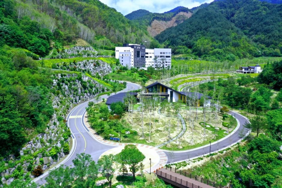 High Healing 1 (산림힐링재단(하이힐링원))