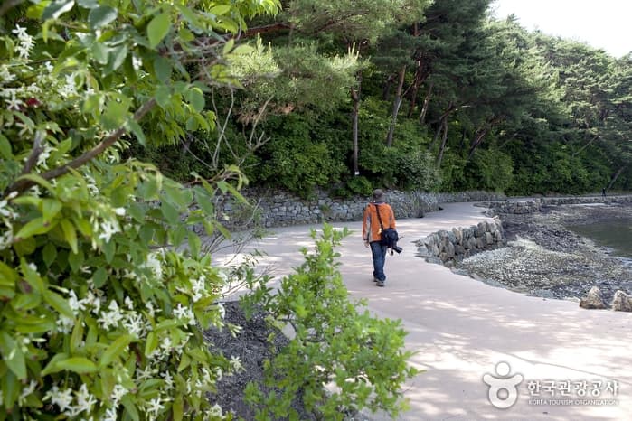 Hansando Island (한산도)