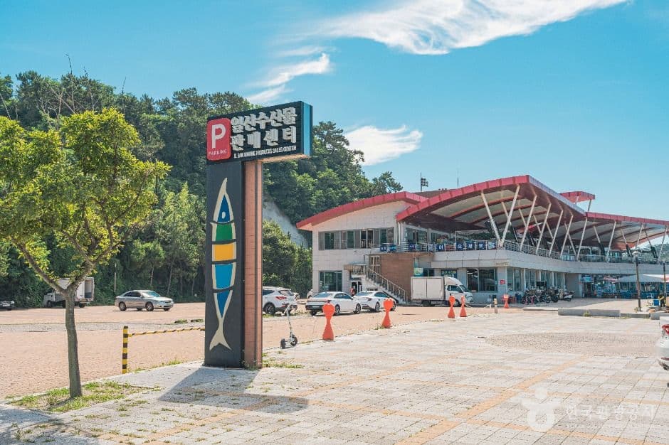 Ilsan Marine Products Sales Center (일산수산물판매센터)