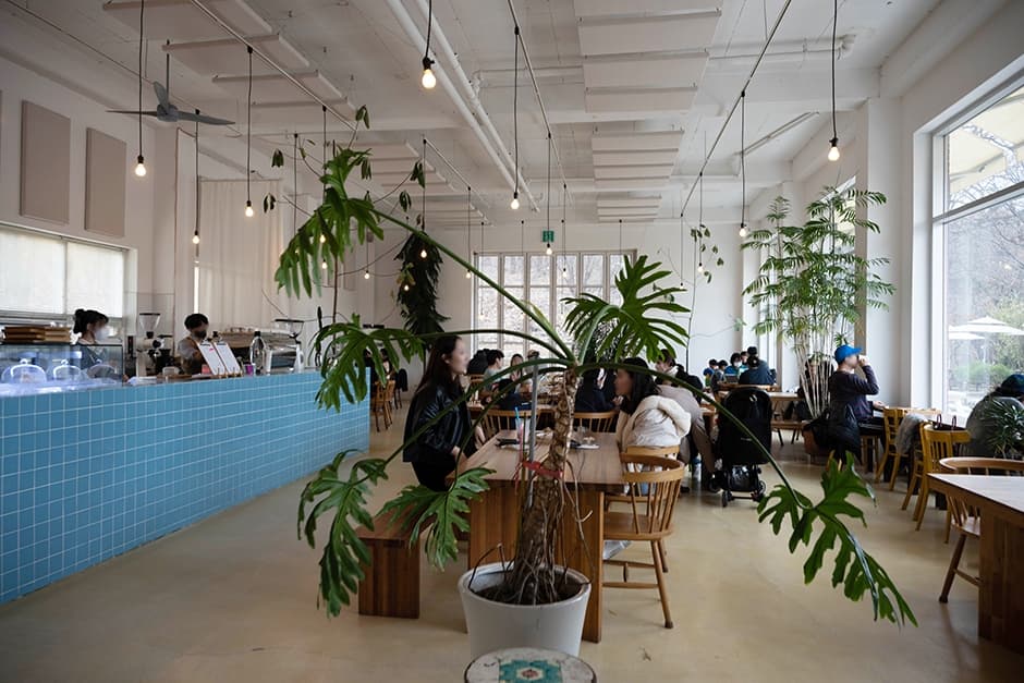 Goyang Restore Coffee (리스토어커피)