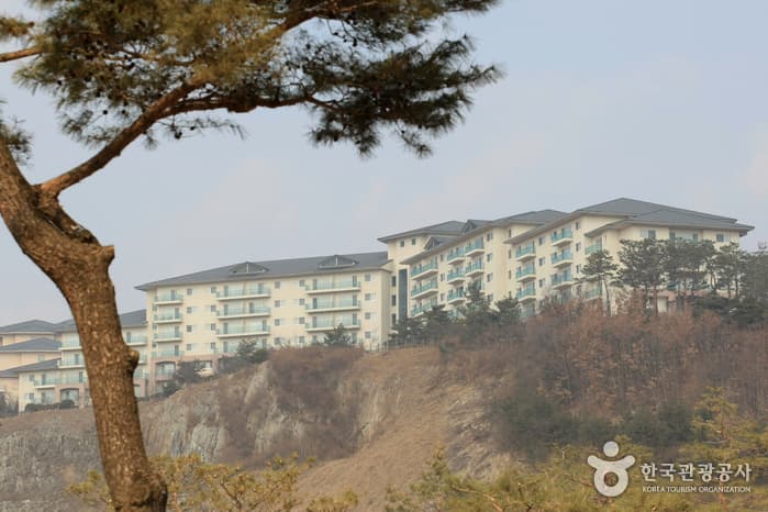 Oak Valley (오크밸리)