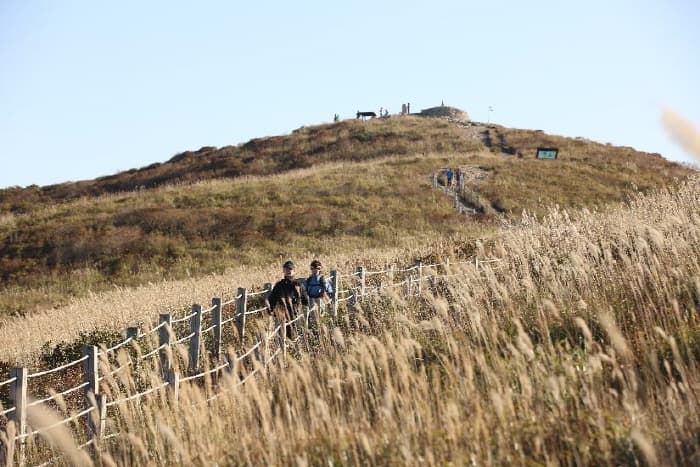 Jaeyaksan Mountain (재약산)