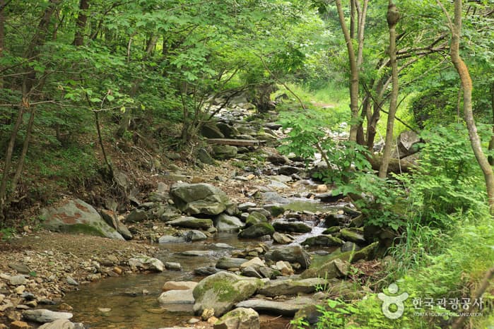 Yeongok Valley (연곡계곡)
