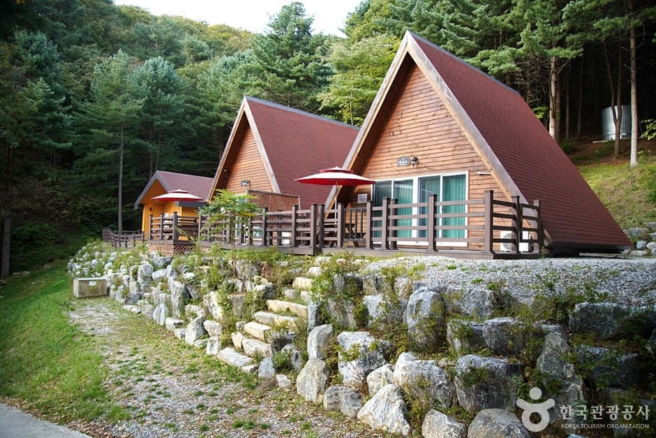 Chiaksan Recreational Forest (치악산자연휴양림)