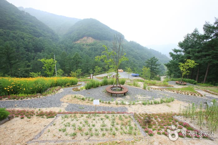 Jwagusan Recreational Forest (좌구산 자연휴양림)