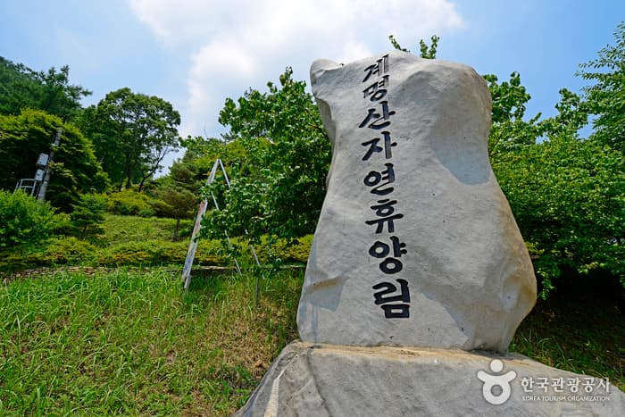 Gyemyeongsan Recreational Forest (계명산자연휴양림)