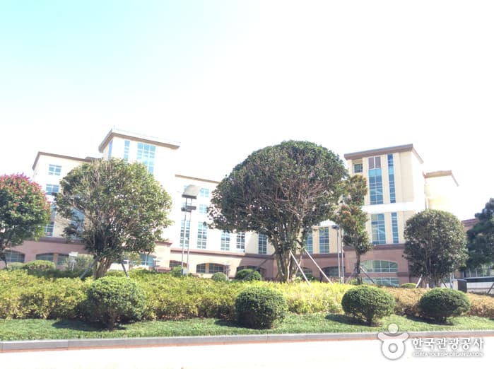 The Ocean Resort (디오션리조트)