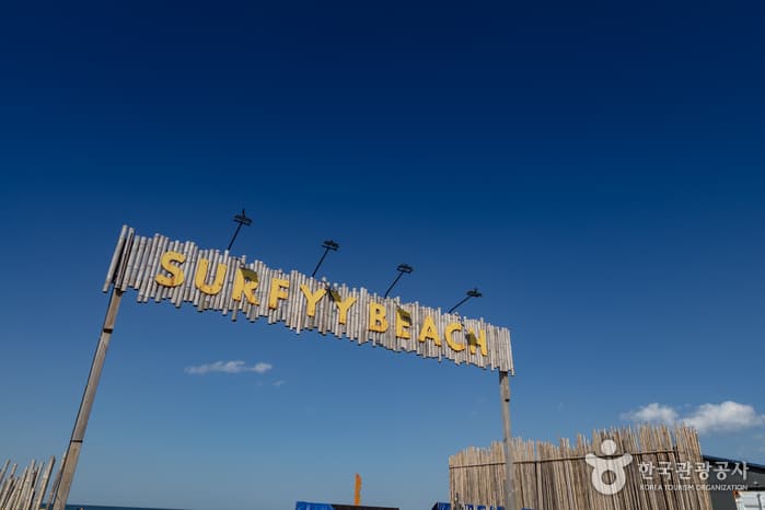 Yangyang Surfyy Beach (서피비치, 서핑(양양))