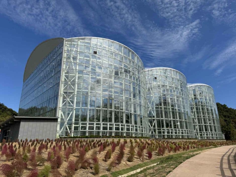 Gwangju Arboretum (광주시립수목원)