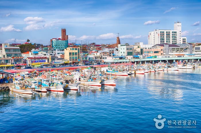 Jumunjin Breakwater (주문진 방파제)