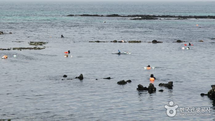 Seongsanpo Haenyeo Gongyeonjang (성산포 해녀물질공연장)