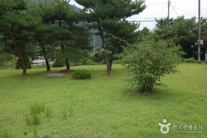 Garisan Recreational Forest (가리산자연휴양림)